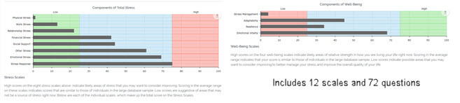 Stress and Well-Being Assessment